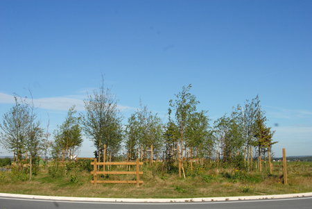 arbustes sur le rond point avec des petites barrières