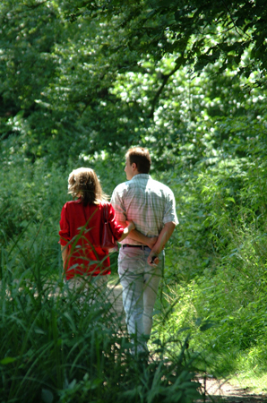 Forêt de Rihoult, à Arques