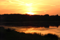 couché de soleil derrière les arbres