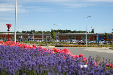 photo avec les fleures et les magasins en fond
