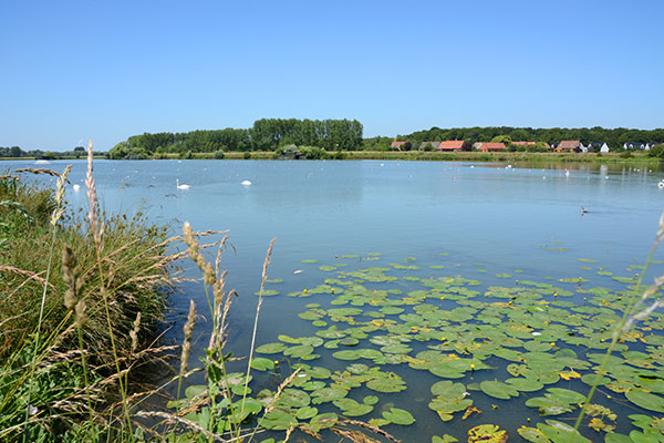 etang malhove